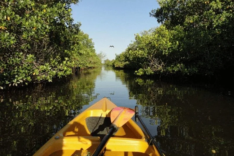 A kayak on a narrow mangrove-lined waterway reached from the Burnt Store Lakes community launch