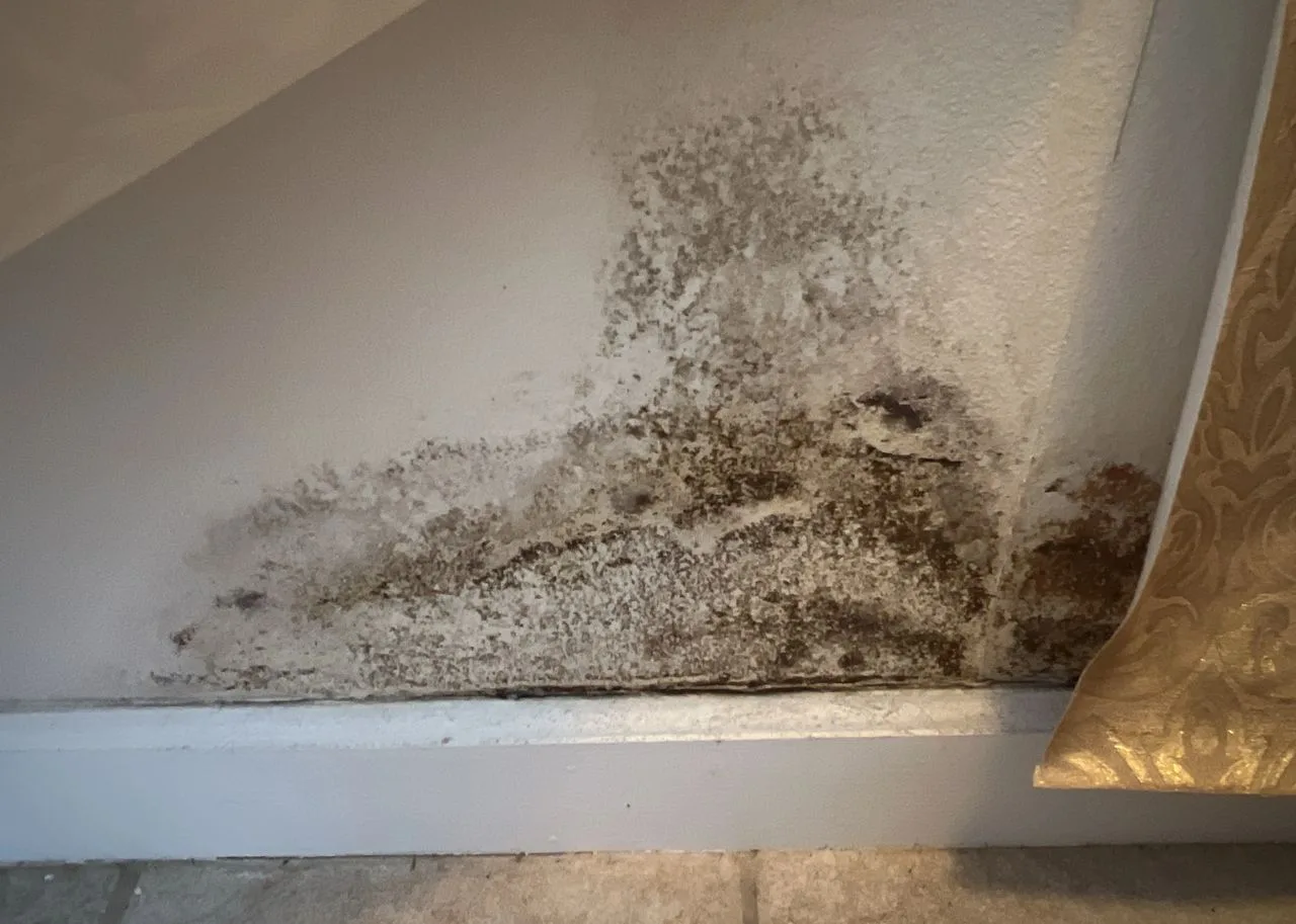 Mold spreading across a bathroom wall above the baseboard, caused by a roof leak