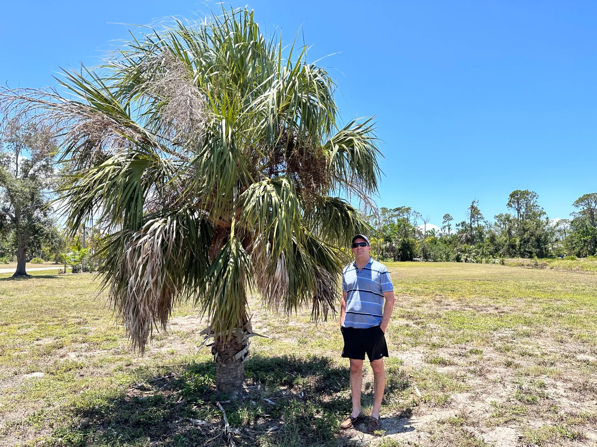James J. Cloud standing beside a mature palm tree on a vacant home site in Burnt Store Lakes