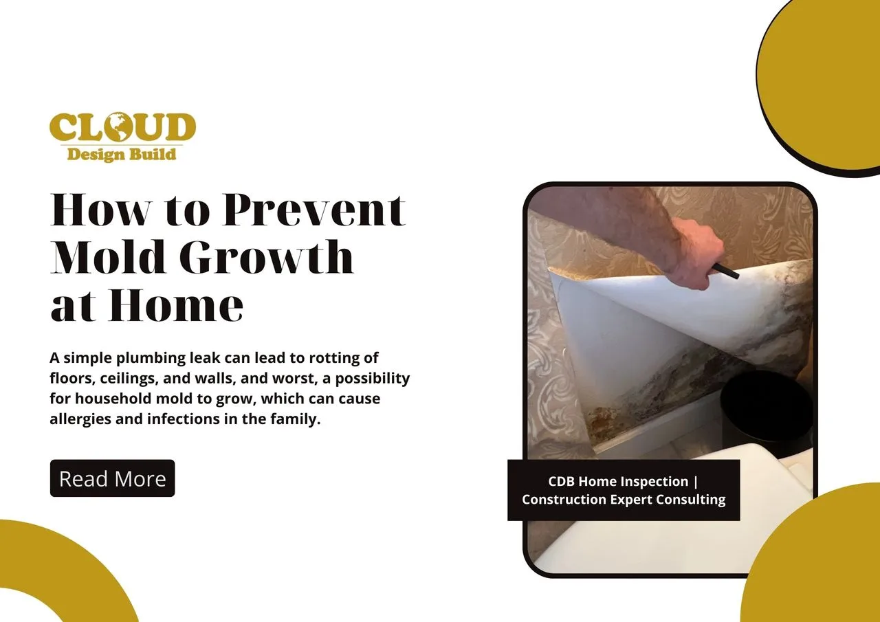 Blog graphic: How to Prevent Mold Growth at Home, with a photo of mold under peeling wallpaper
