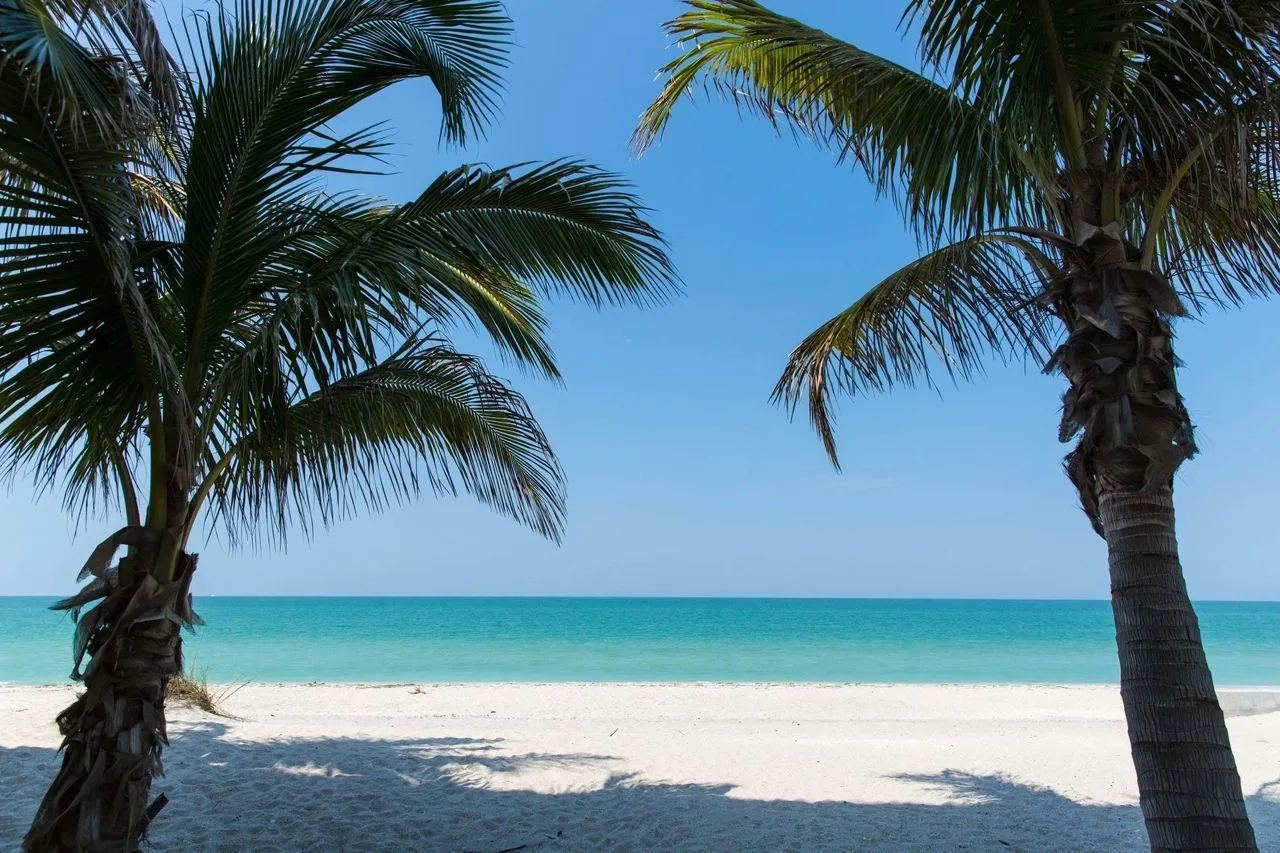 Palm trees framing a turquoise beach view at Englewood Beach, Florida