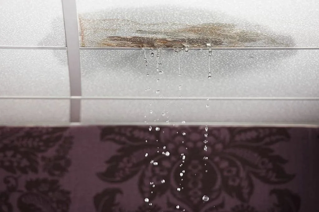 Water dripping from a stained ceiling, a sign of a construction defect